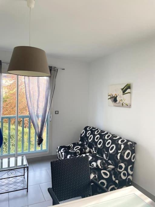 Appartement T2 Lumineux, Tres Bien Equipe, Proche Centre-Ville Salies-de-Béarn エクステリア 写真